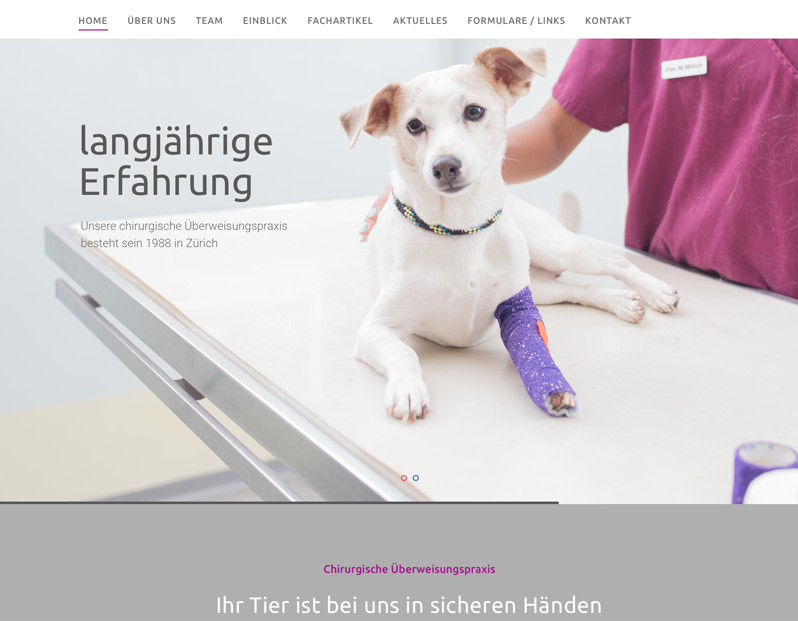 Neue Homepage Screenshot